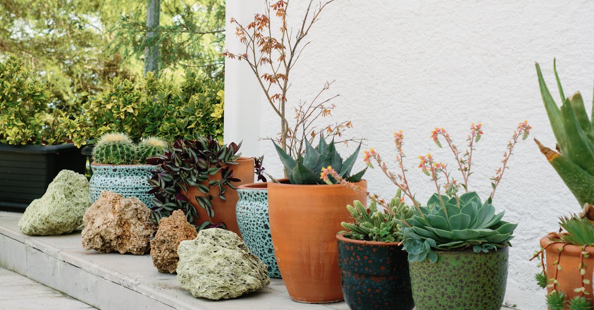 découvrez les collectifs écologiques, des initiatives inspirantes réunissant des personnes passionnées par la durabilité et la protection de l'environnement. rejoignez-nous pour promouvoir des pratiques respectueuses de la planète et participer à une communauté engagée pour un avenir meilleur.