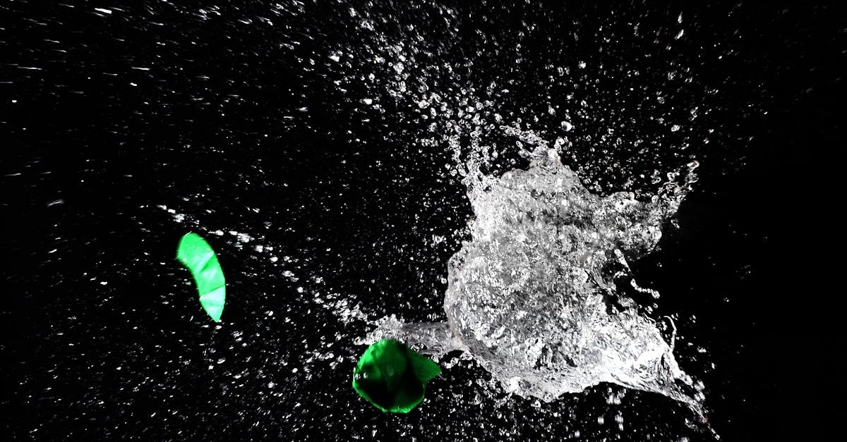 découvrez comment adopter des actions écologiques au quotidien pour protéger notre planète. inspirez-vous de conseils pratiques et d'initiatives durables qui contribueront à un avenir plus vert.