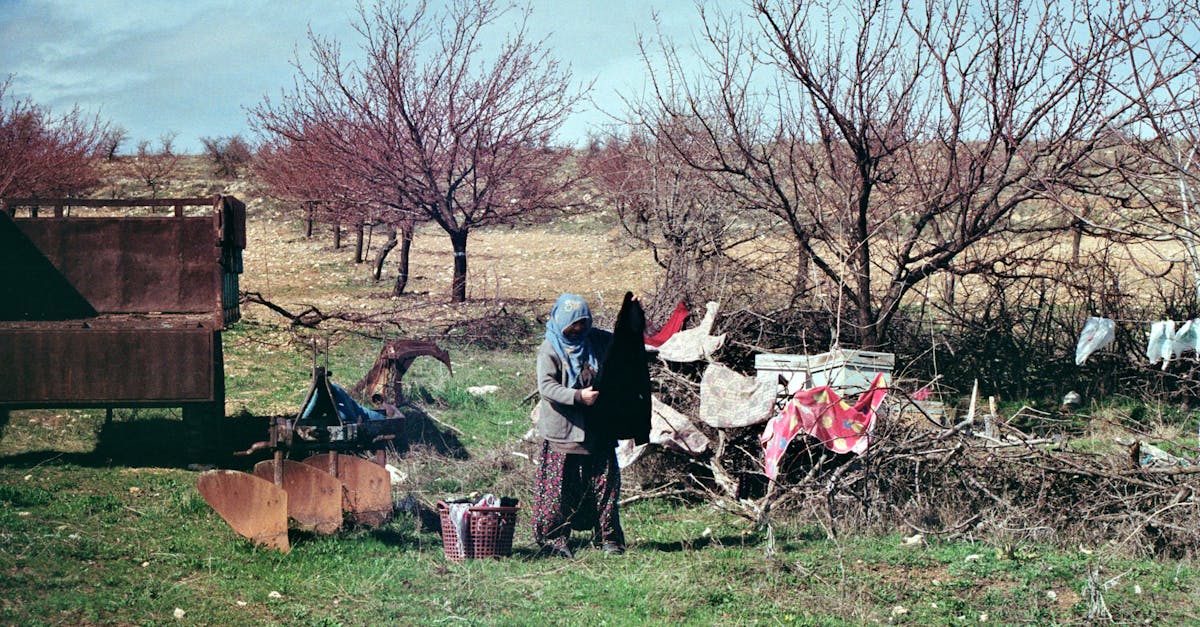 découvrez les pratiques agricoles hivernales et comment elles préparent les cultures pour la saison froide. apprenez des techniques innovantes pour optimiser la productivité et la durabilité en agriculture pendant l'hiver.