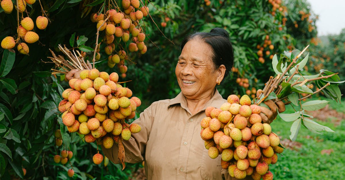 découvrez l'importance de la plantation d'arbres pour notre environnement. apprenez comment chaque arbre contribue à la biodiversité, à la lutte contre le changement climatique et à l'amélioration de notre qualité de vie. engagez-vous pour un avenir plus vert en participant à nos initiatives de plantation d'arbres.