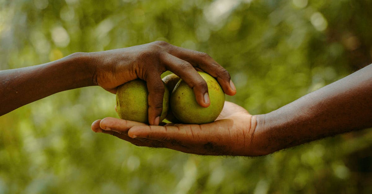 découvrez l'économie collaborative, un modèle innovant qui favorise le partage de biens et de services entre particuliers. explorez les avantages et les opportunités de cette tendance qui transforme notre manière de consommer et d'interagir.