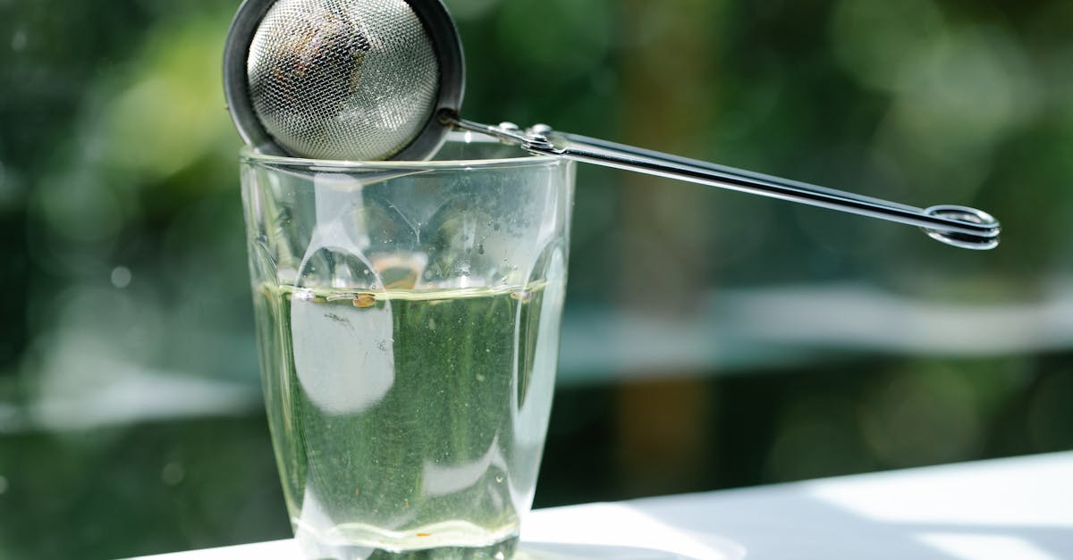 découvrez les marques durables qui s'engagent pour l'environnement et le développement éthique. explorez des produits éco-responsables et soutenez une consommation consciente.