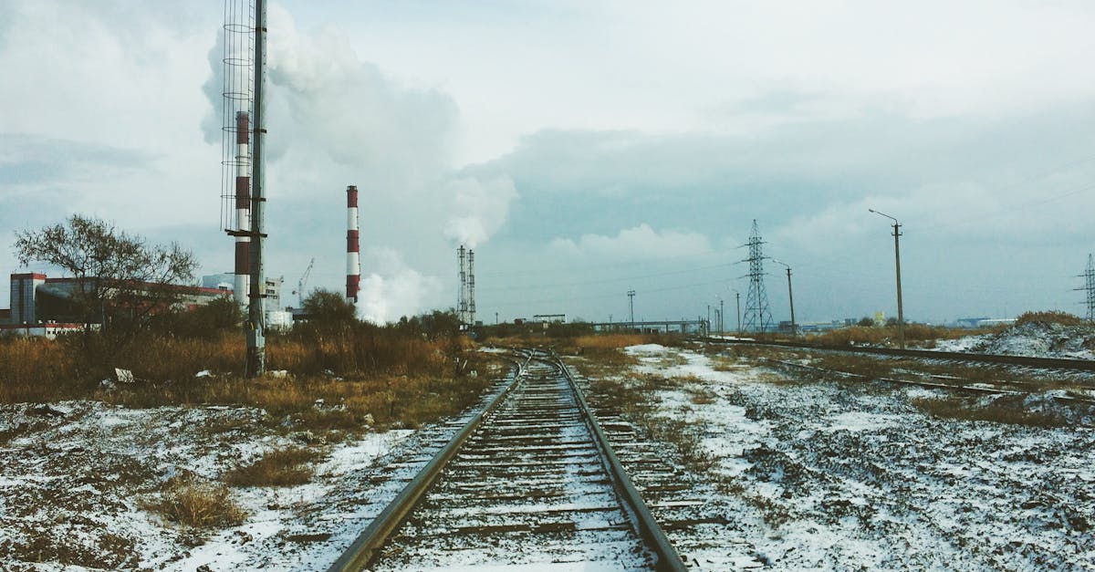 découvrez notre formation environnementale complète, conçue pour sensibiliser et former les professionnels aux enjeux écologiques actuels. apprenez les meilleures pratiques pour promouvoir la durabilité et réduire l'impact environnemental au sein de votre organisation.