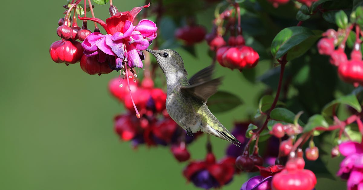 la médiation environnementale : un processus collaboratif visant à résoudre les conflits liés à l'environnement. découvrez comment ce dispositif favorise le dialogue entre parties prenantes, protège les ressources naturelles et contribue à un avenir durable.