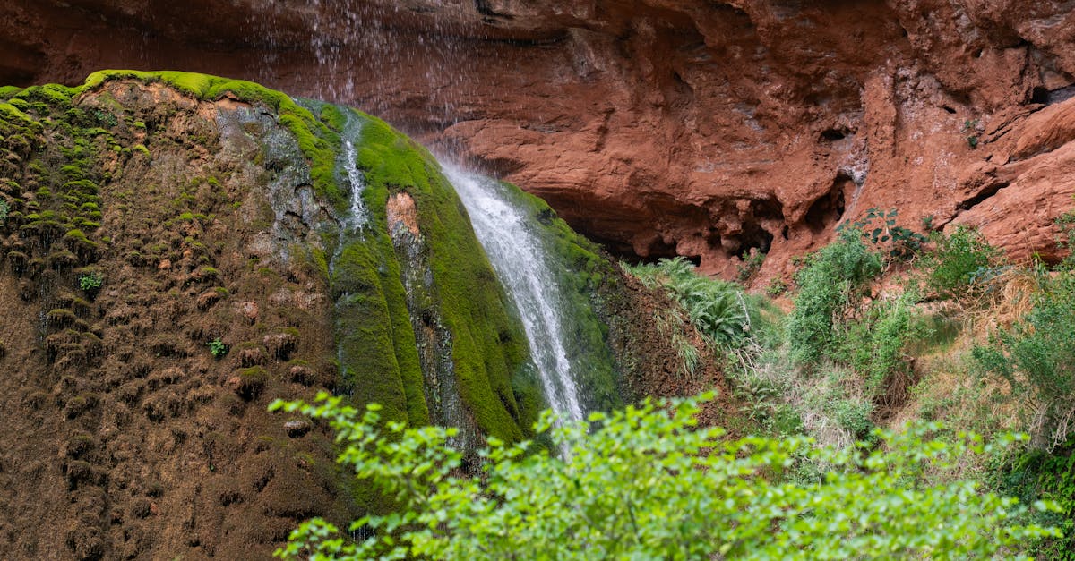 découvrez le concept d'élitisme écologique, une approche qui questionne les relations entre le développement durable et les inégalités sociales. explorez comment certaines pratiques écologiques peuvent favoriser une élite tout en négligeant les enjeux environnementaux auxquels sont confrontées les populations défavorisées.