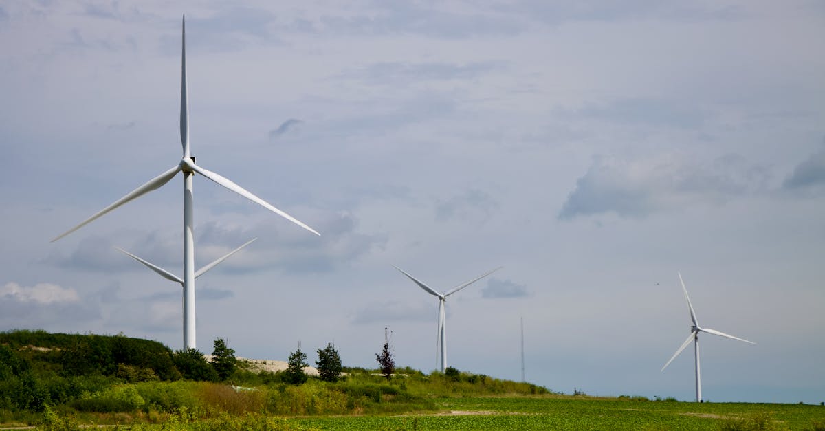 découvrez tout ce que vous devez savoir sur l'empreinte carbone : définition, enjeux environnementaux, et astuces pour réduire votre impact écologique au quotidien.