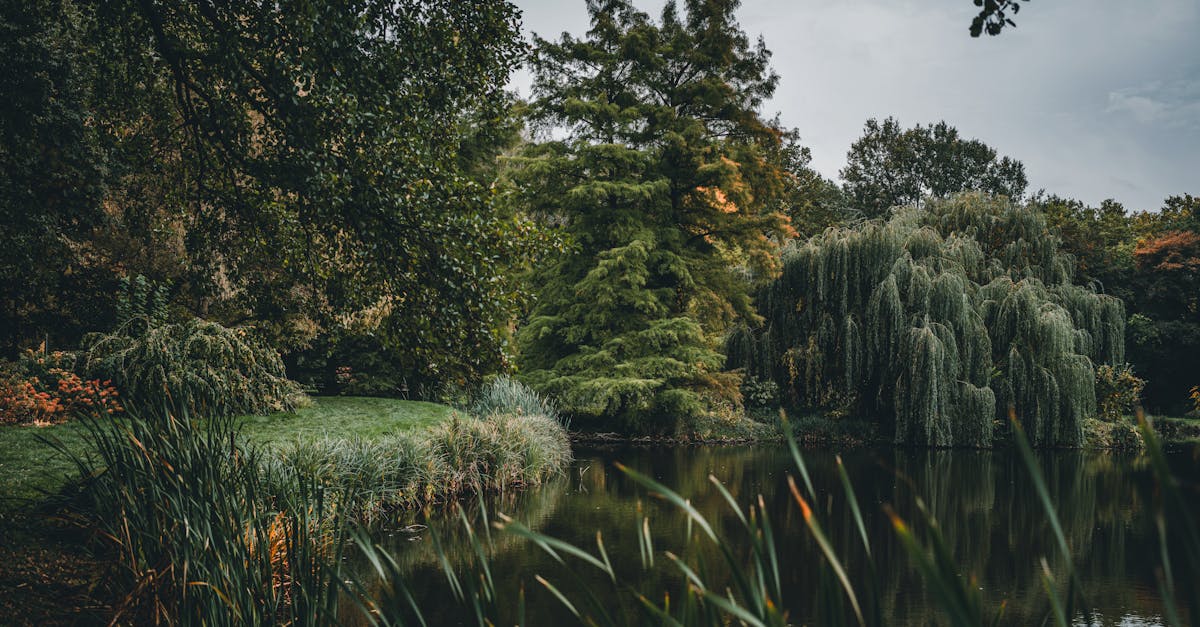 découvrez les normes environnementales essentielles qui régissent la protection de notre planète. explorez les réglementations, les meilleures pratiques et leur importance pour garantir un avenir durable.
