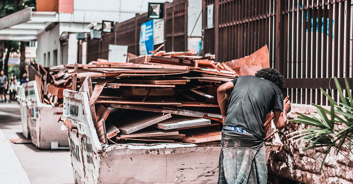 découvrez l'économie verte, un modèle de développement durable qui favorise la croissance économique tout en préservant l'environnement. apprenez comment les entreprises et les gouvernements intègrent des pratiques écologiques pour un avenir plus durable.