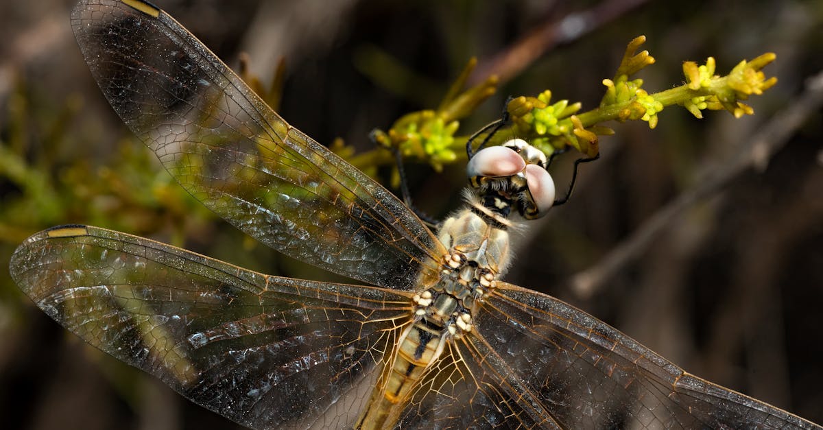 découvrez l'importance des médias environnementaux dans la sensibilisation et l'éducation sur les enjeux écologiques. informez-vous sur les initiatives, les documentaires et les campagnes qui impactent notre planète et favorisent un avenir durable.