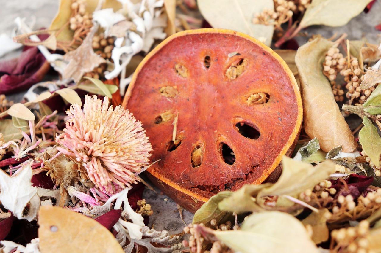 Dell XPS 14 : l’élégance haut de gamme au service de l’écoconception