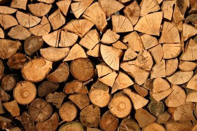 Brésil : un plan climat ambitieux place la lutte contre la déforestation au premier rang